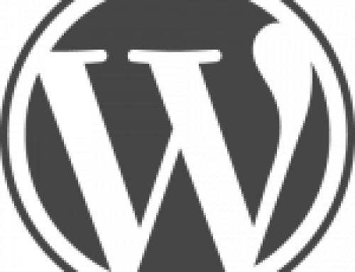 Caution Using WordPress SEO Plugins
