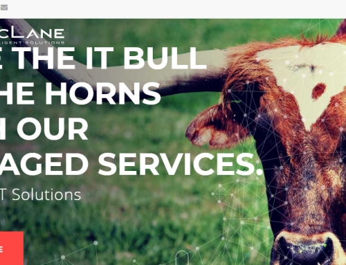 McLane Intelligent Solutions